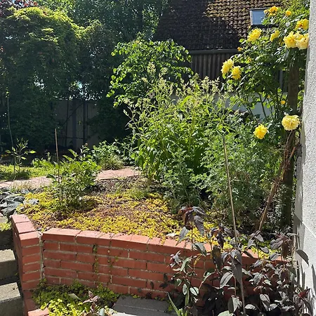 Appartement Einliegerwohnung In Waldnaehe *